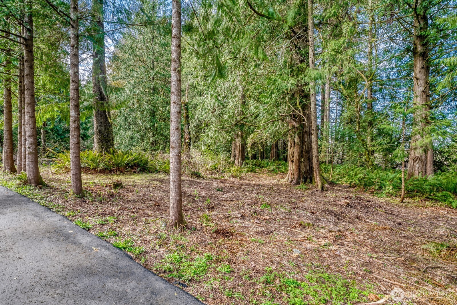 38805 258th Avenue SE, Enumclaw, WA 98022-8869