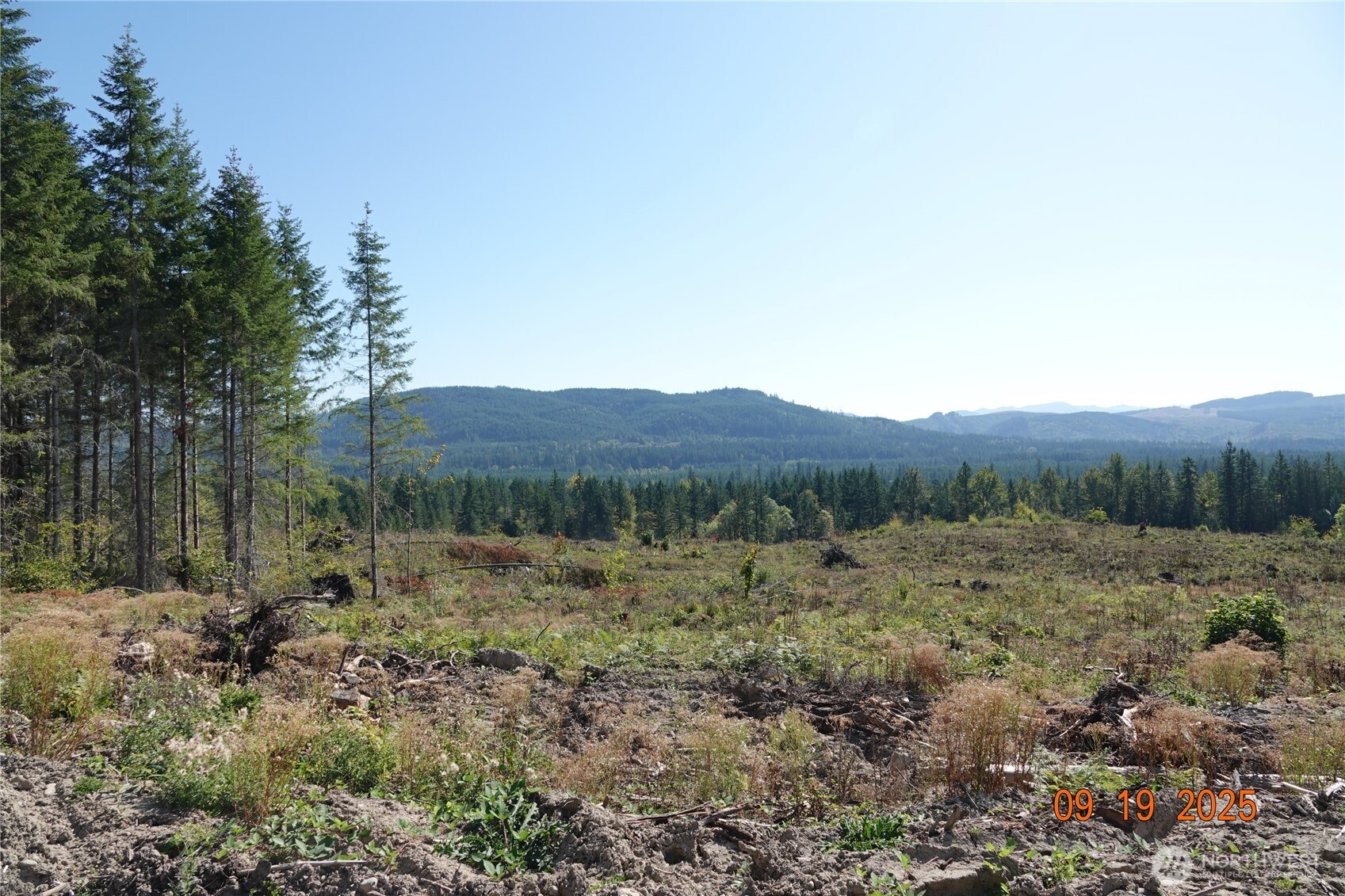 10119 Eatonville Highway E, Eatonville, WA 98328