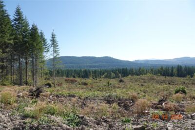 10119 Eatonville Highway E, Eatonville, WA 98328 - Photo 12