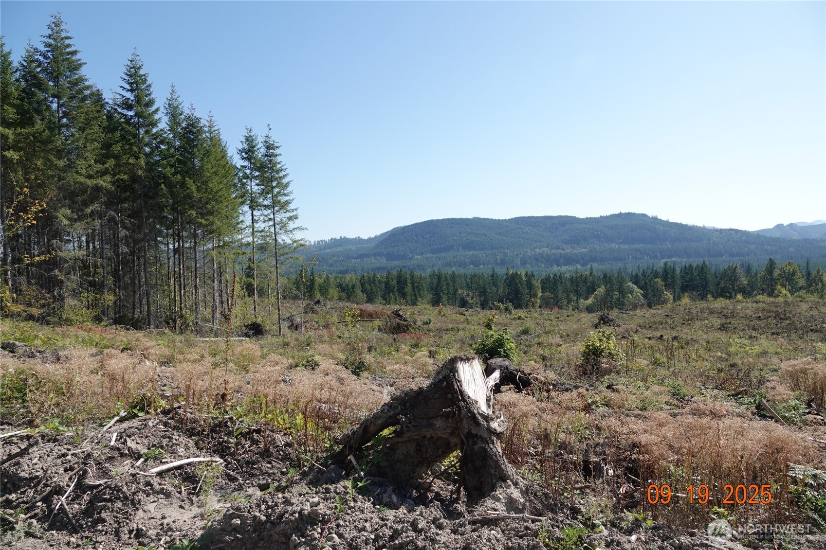 10119 Eatonville Highway E, Eatonville, WA 98328