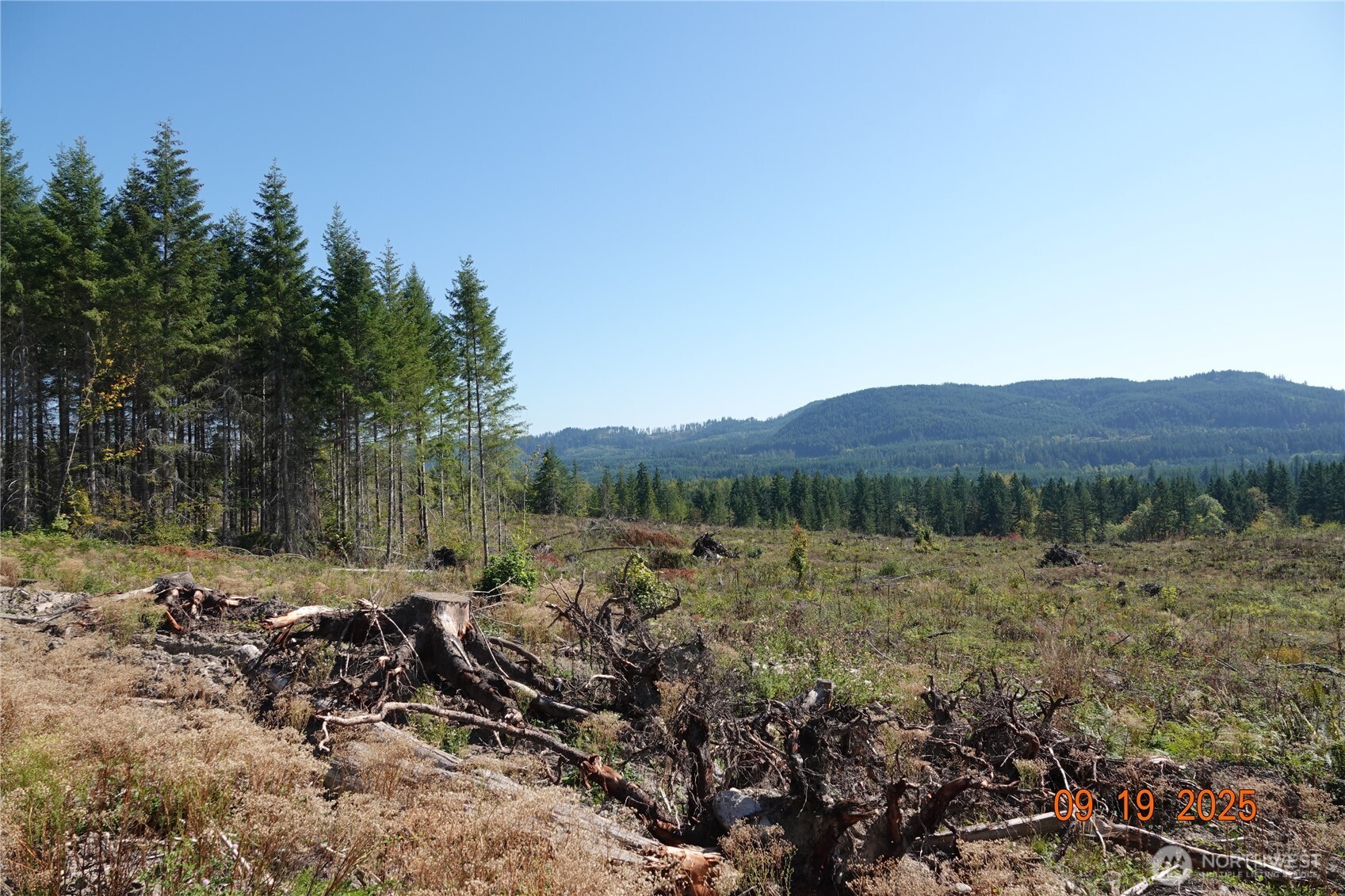 10119 Eatonville Highway E, Eatonville, WA 98328