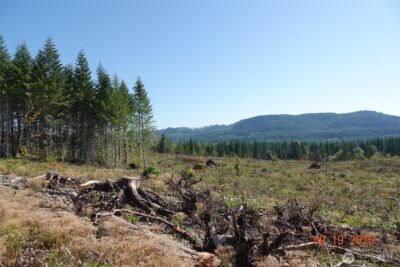 10119 Eatonville Highway E, Eatonville, WA 98328 - Photo 14