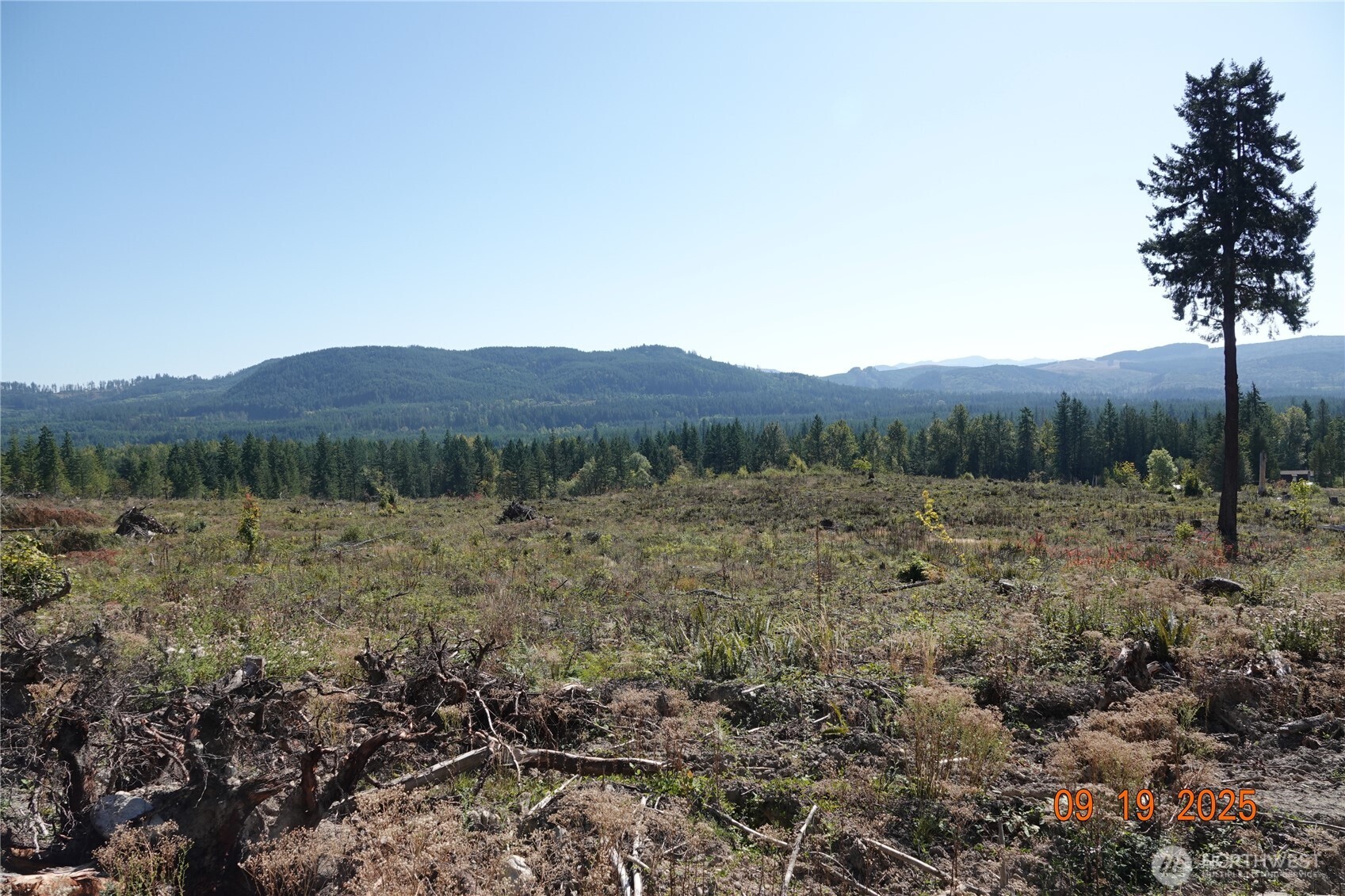 10119 Eatonville Highway E, Eatonville, WA 98328