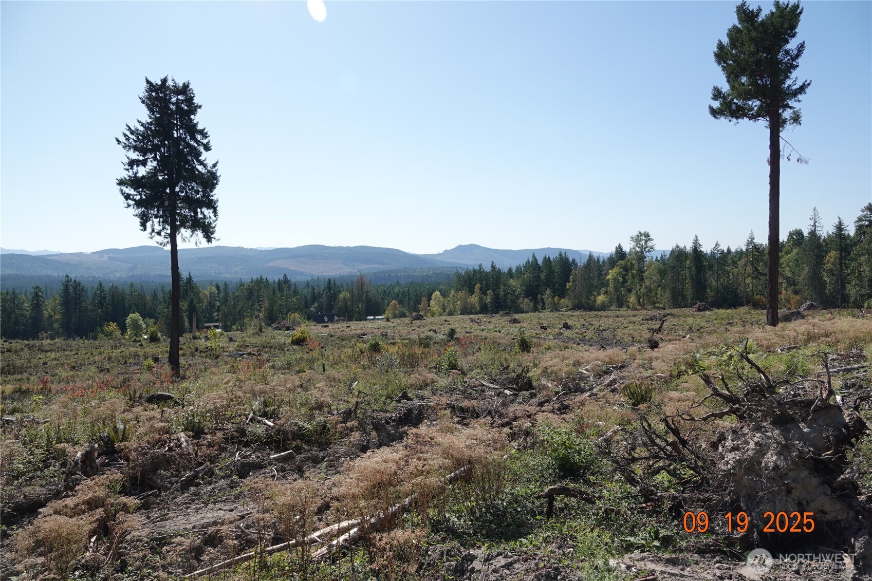 10119 Eatonville Highway E, Eatonville, WA 98328