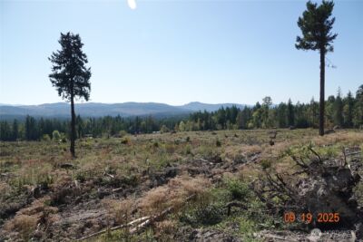 10119 Eatonville Highway E, Eatonville, WA 98328 - Photo 16