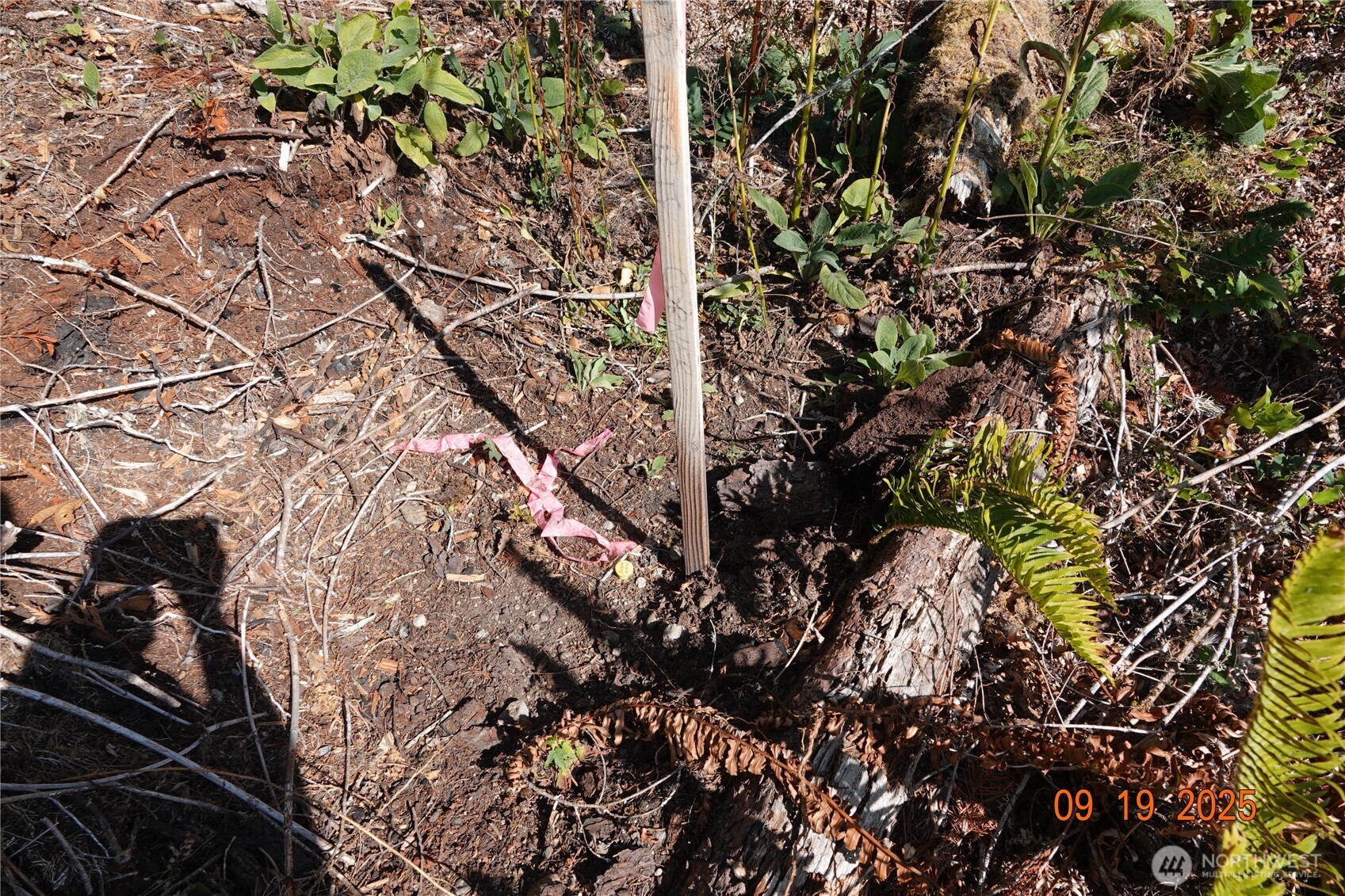 10119 Eatonville Highway E, Eatonville, WA 98328