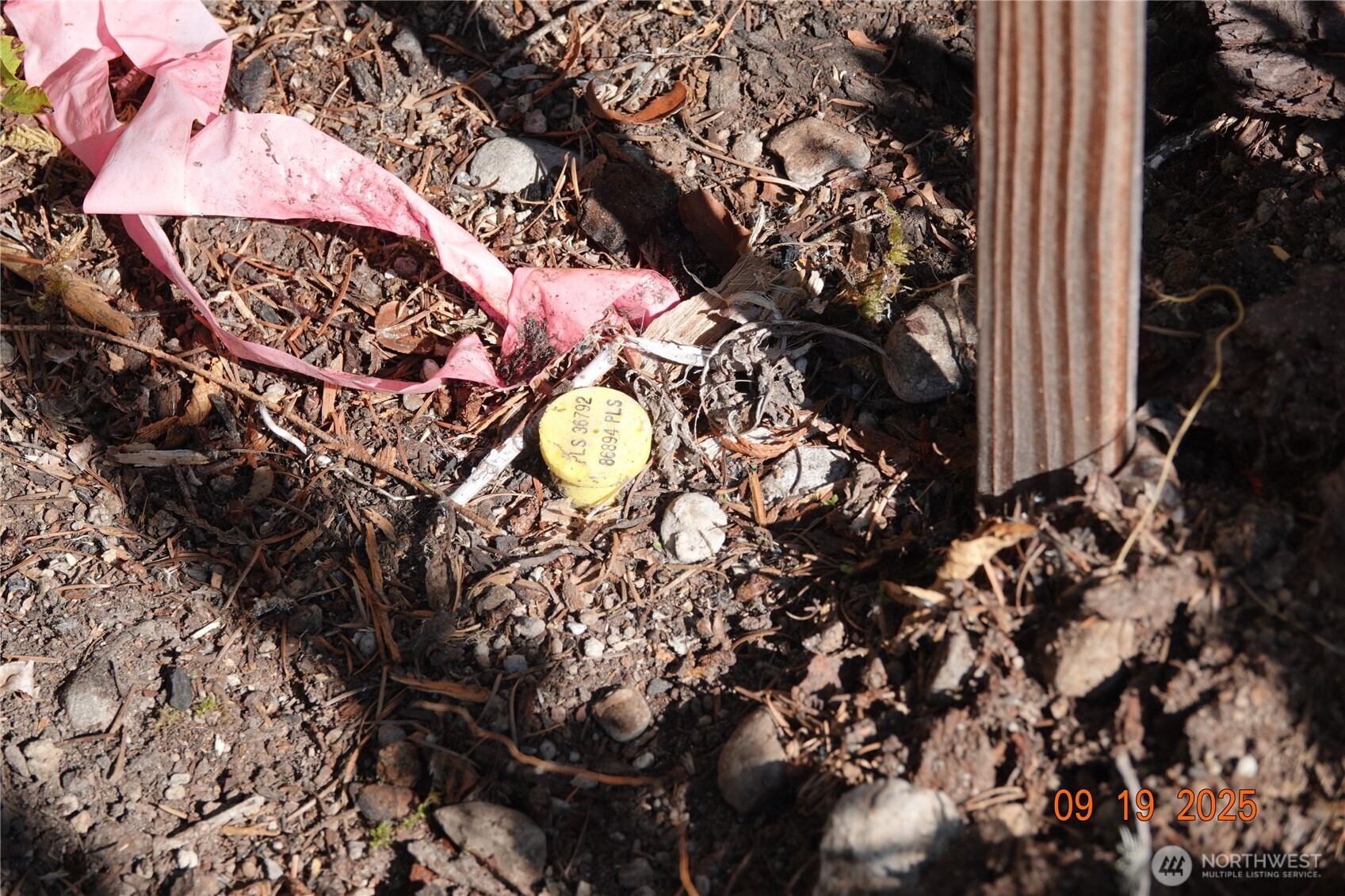 10119 Eatonville Highway E, Eatonville, WA 98328