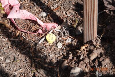 10119 Eatonville Highway E, Eatonville, WA 98328 - Photo 18