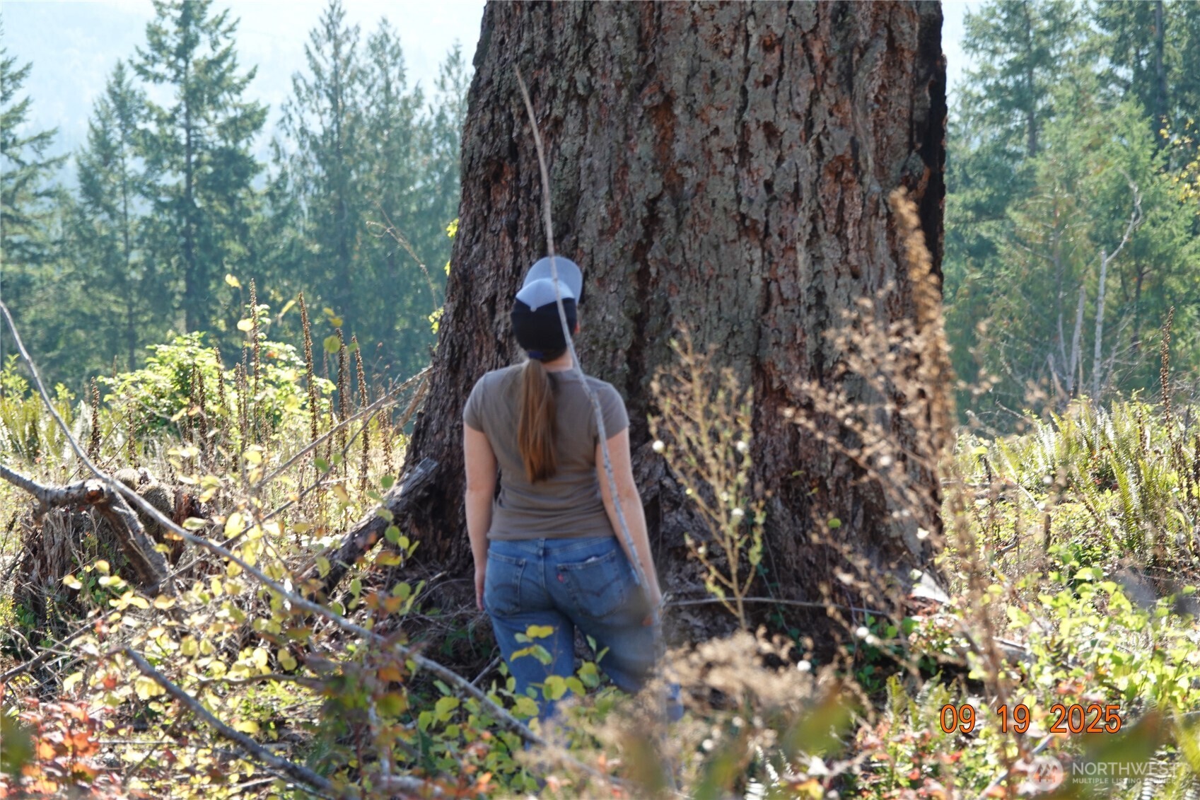 10119 Eatonville Highway E, Eatonville, WA 98328