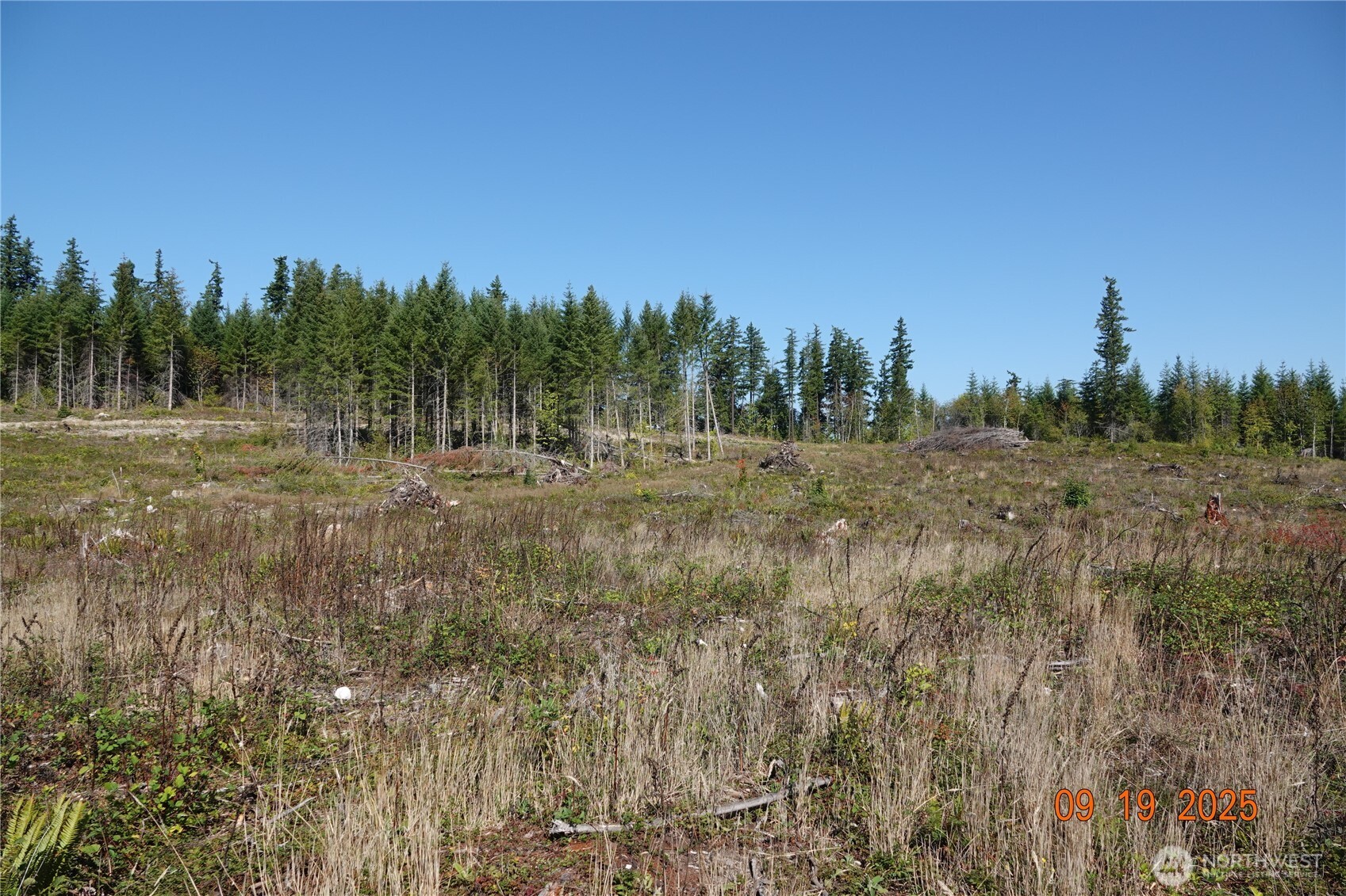 10119 Eatonville Highway E, Eatonville, WA 98328