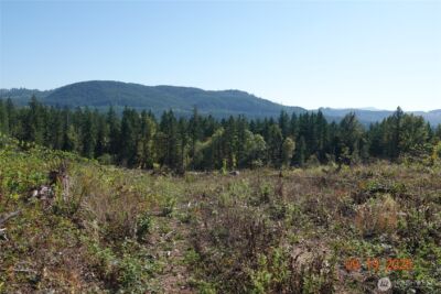 10119 Eatonville Highway E, Eatonville, WA 98328 - Photo 23