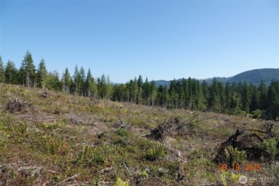 10119 Eatonville Highway E, Eatonville, WA 98328 - Photo 24