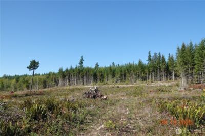 10119 Eatonville Highway E, Eatonville, WA 98328 - Photo 25