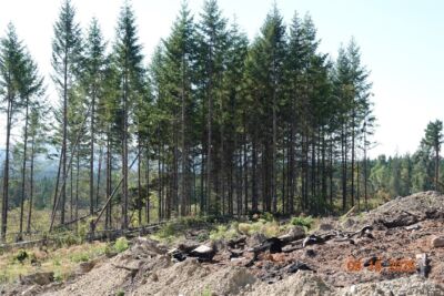 10119 Eatonville Highway E, Eatonville, WA 98328 - Photo 3