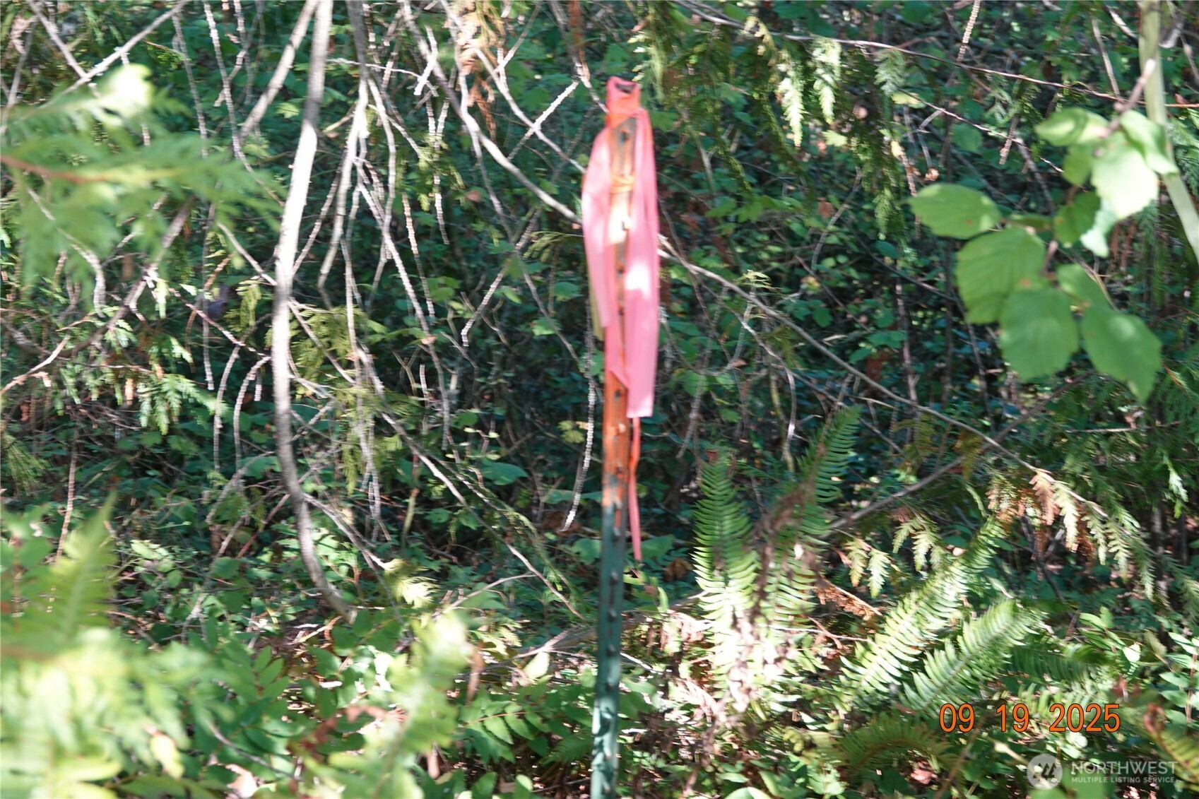 10119 Eatonville Highway E, Eatonville, WA 98328