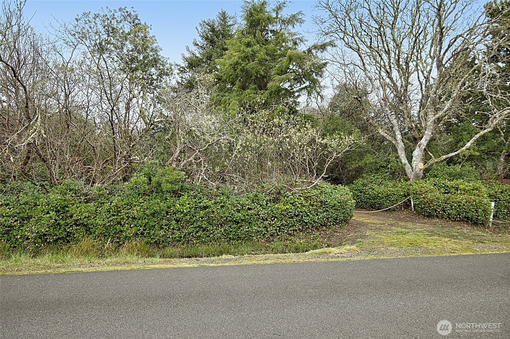 189 S Narwhal Loop SW, Ocean Shores, WA 98569