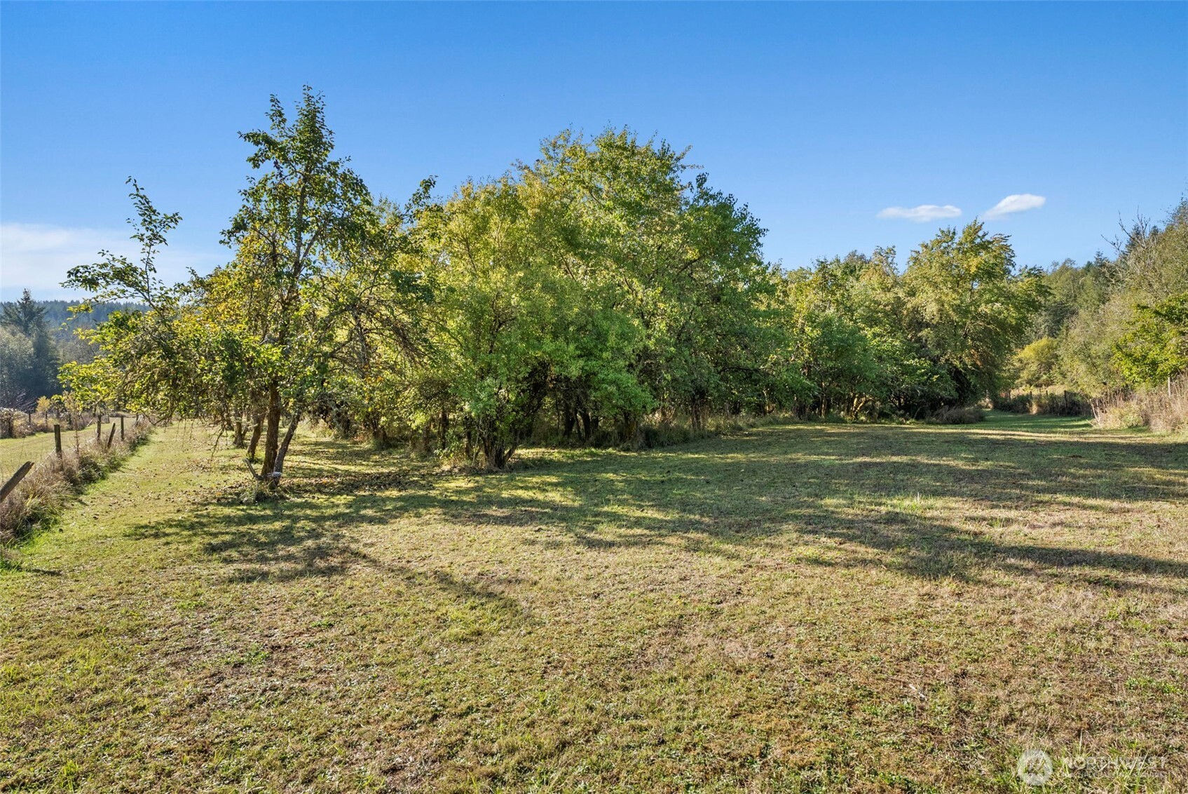 259 10 Tooley Rd , Toledo, WA 98591