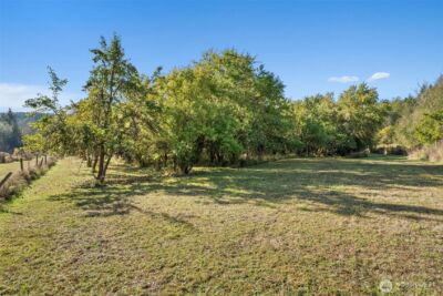 259 10 Tooley Rd , Toledo, WA 98591 - Photo 27