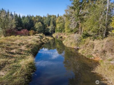 259 10 Tooley Rd , Toledo, WA 98591 - Photo 40