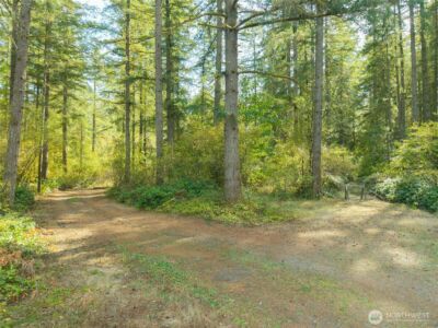 505 142nd Avenue SW, Tenino, WA 98589 - Photo 35