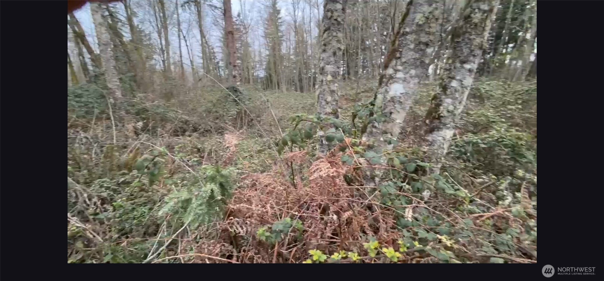 37116 E 103rd Avenue Ct , Eatonville, WA 98328