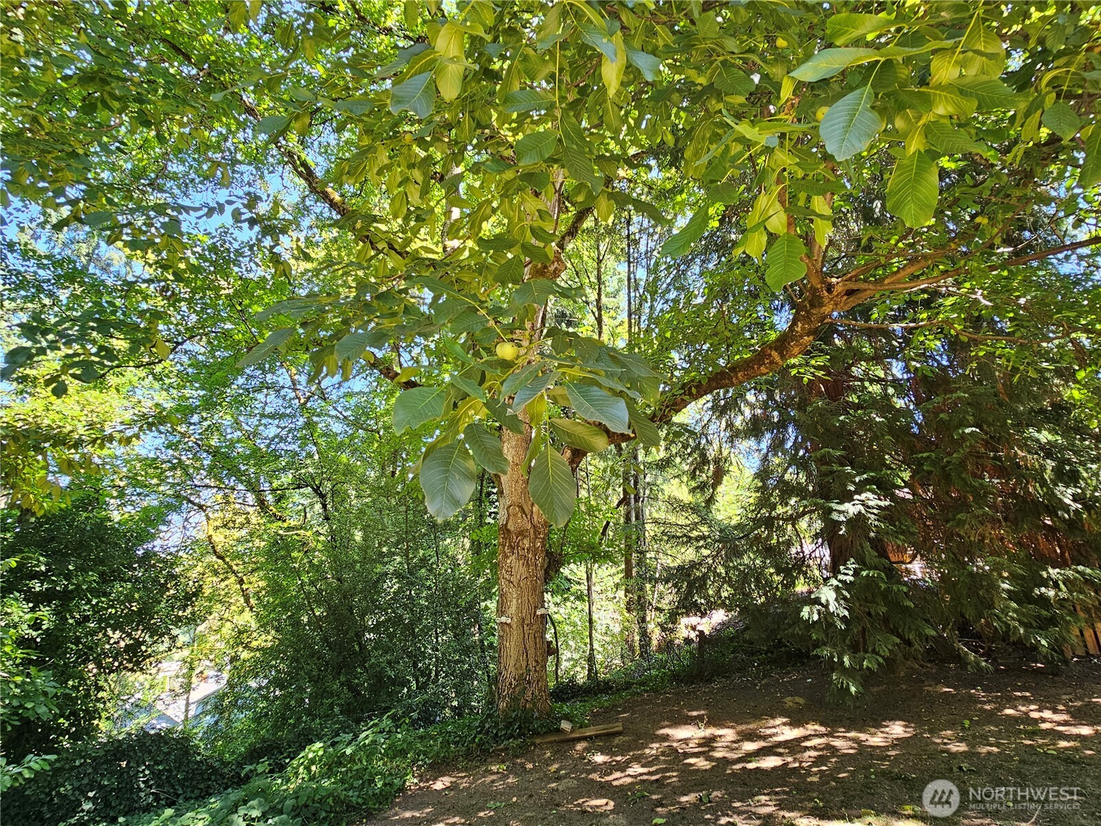 701 NE 117th Street , Vancouver, WA 98685