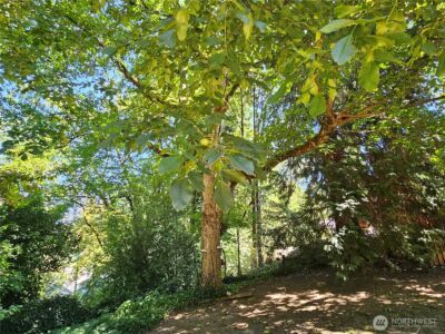 701 NE 117th Street , Vancouver, WA 98685 - Photo 27