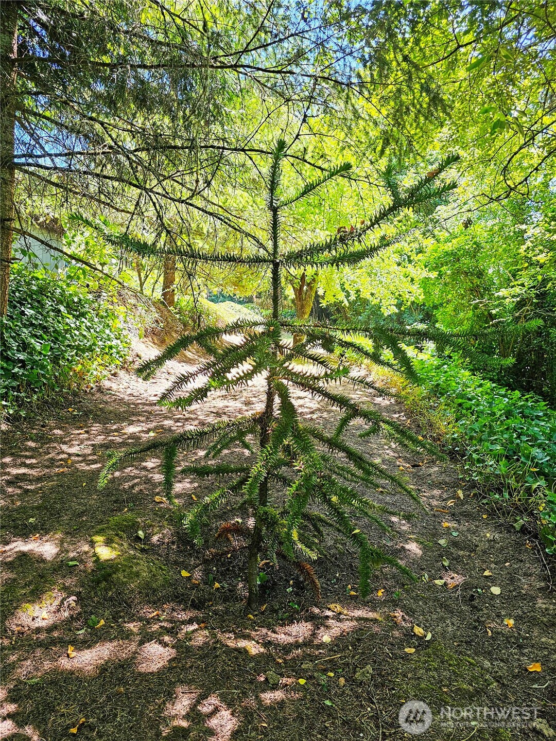 701 NE 117th Street , Vancouver, WA 98685