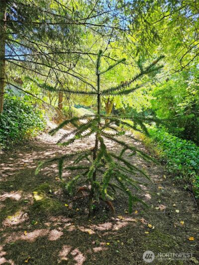 701 NE 117th Street , Vancouver, WA 98685 - Photo 31