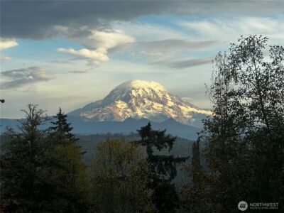 12425 137th Avenue E, Puyallup, WA 98374 - Photo 40