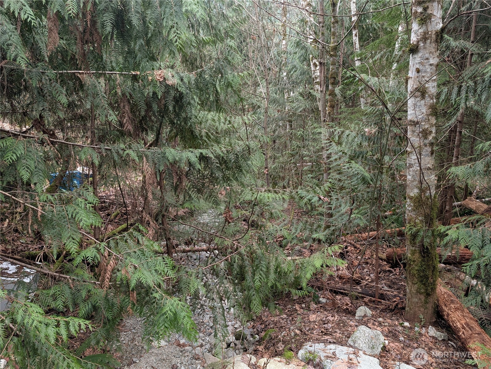 64062 Cascade River RD , Marblemount, WA 98267