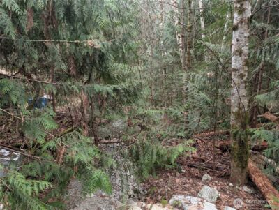 64062 Cascade River RD , Marblemount, WA 98267 - Photo 2