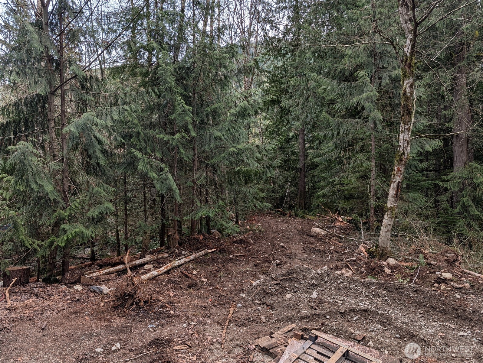 64062 Cascade River RD , Marblemount, WA 98267