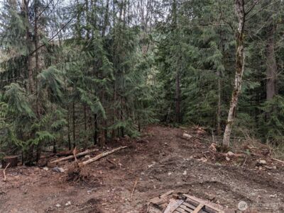 64062 Cascade River RD , Marblemount, WA 98267 - Photo 3