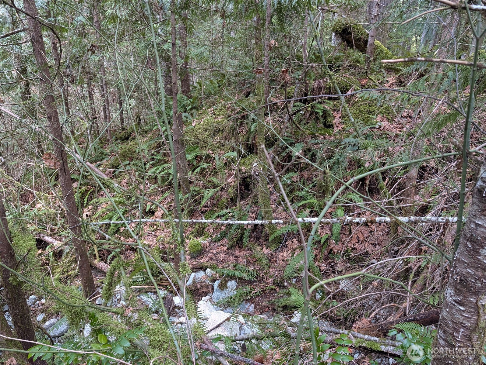 64062 Cascade River RD , Marblemount, WA 98267