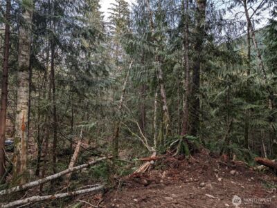 64062 Cascade River RD , Marblemount, WA 98267 - Photo 5