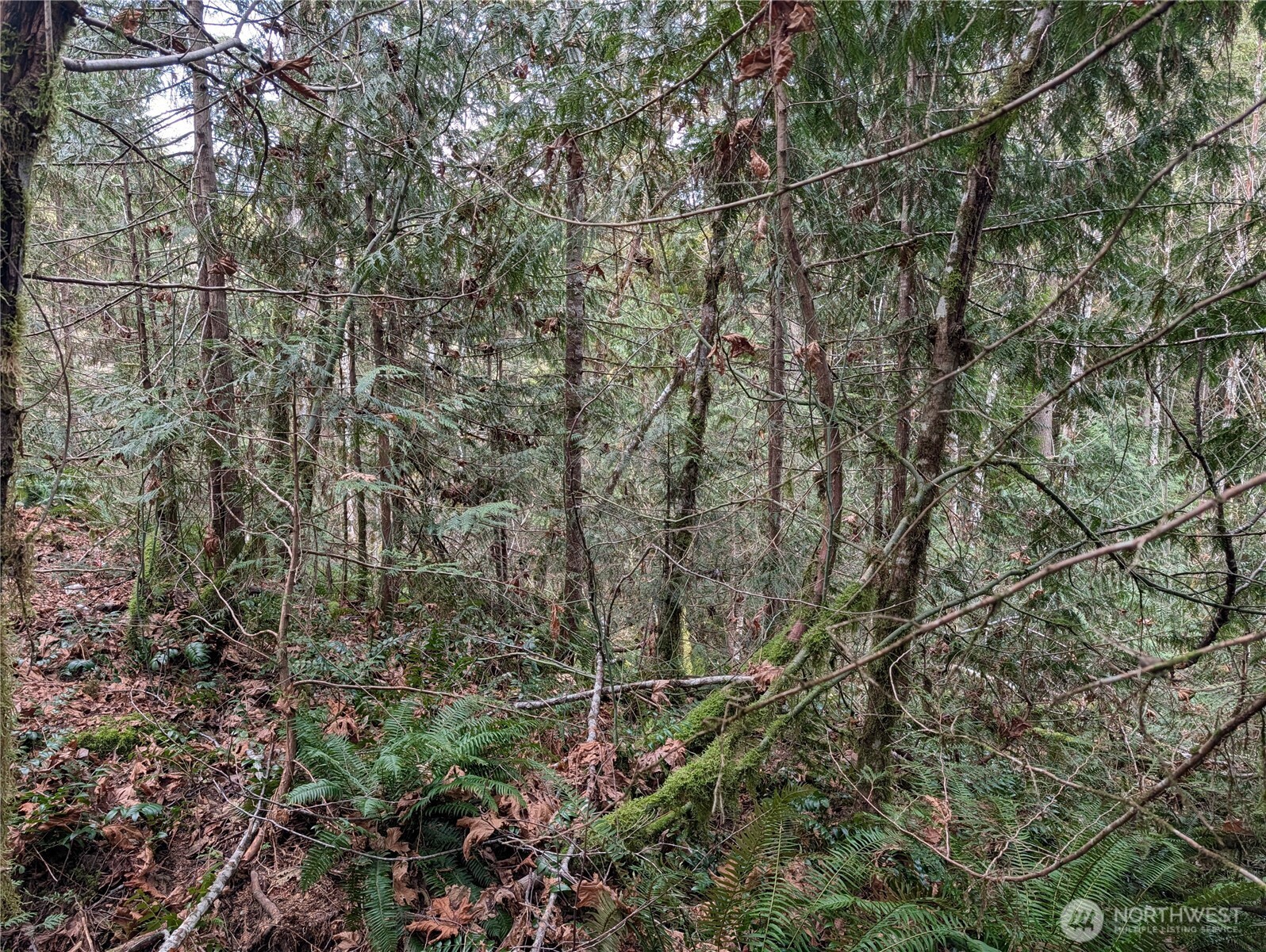 64062 Cascade River RD , Marblemount, WA 98267