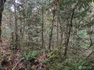 64062 Cascade River RD , Marblemount, WA 98267 - Photo 7