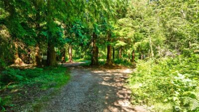 15528 May Creek Road , Gold Bar, WA 98251 - Photo 2