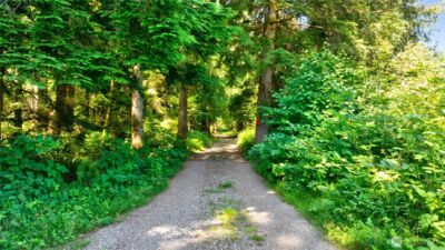 15528 May Creek Road , Gold Bar, WA 98251 - Photo 4