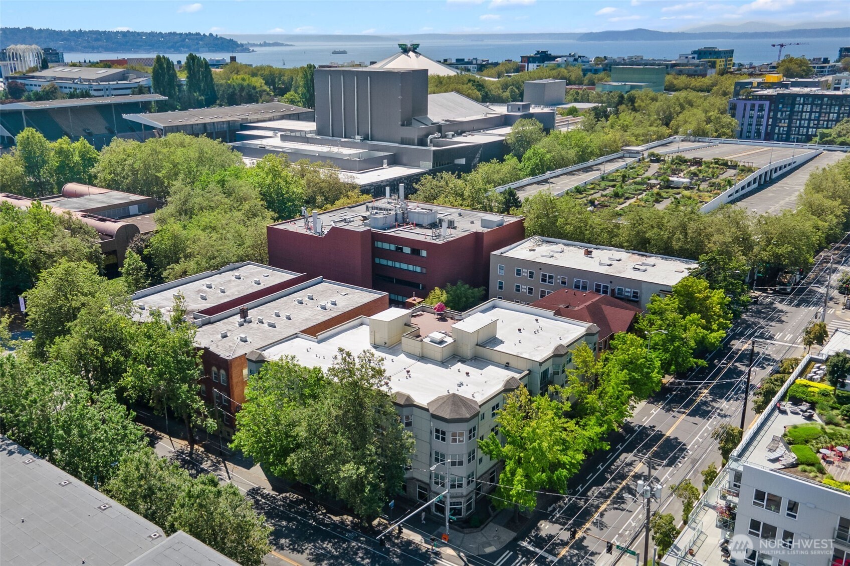 621 5th Avenue N #403, Seattle, WA 98109