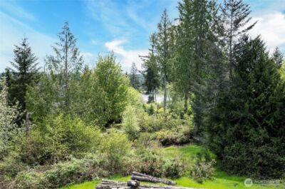 770 E April Avenue , Grapeview, WA 98546 - Photo 9