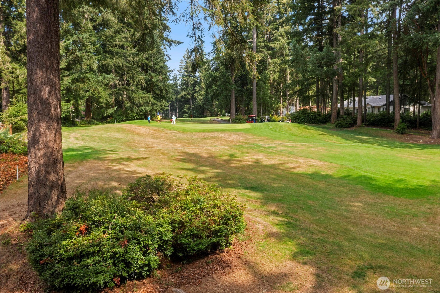 8918 129th Avenue Ct , Anderson Island, WA 98303