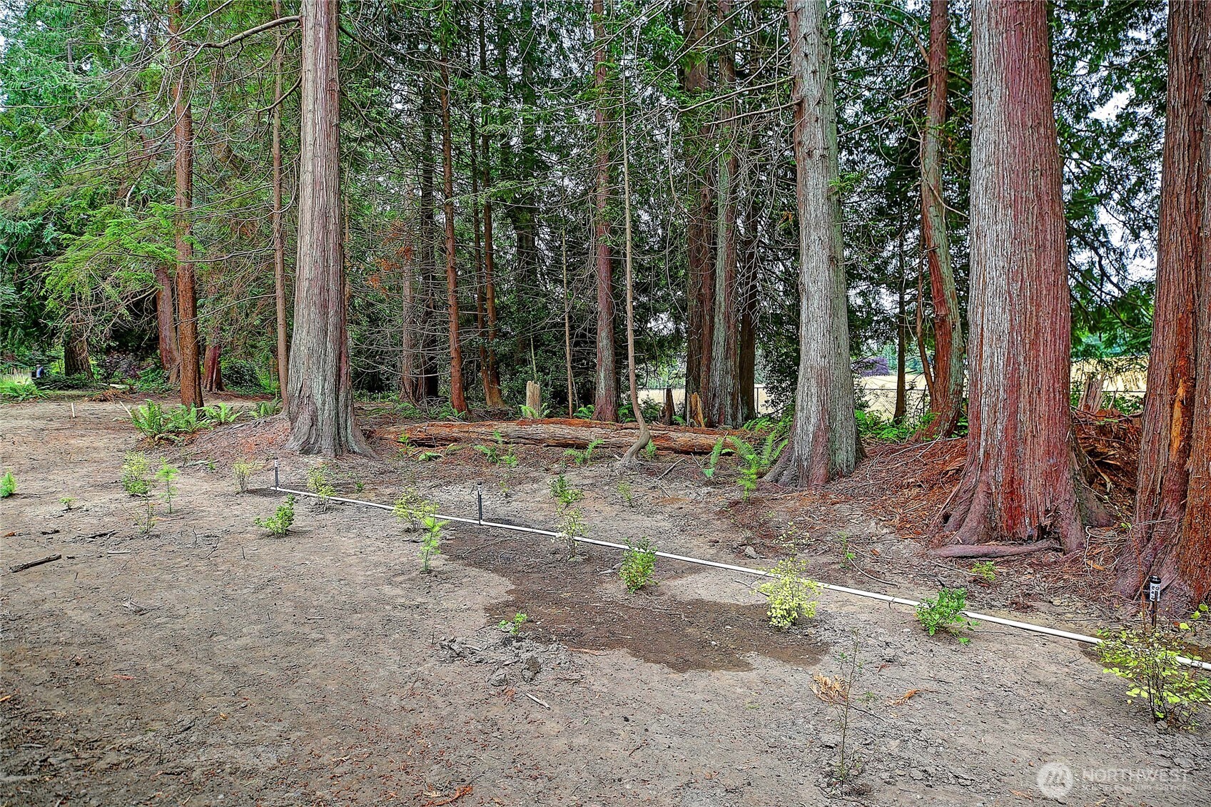 2802 Park Drive , Camano Island, WA 98282