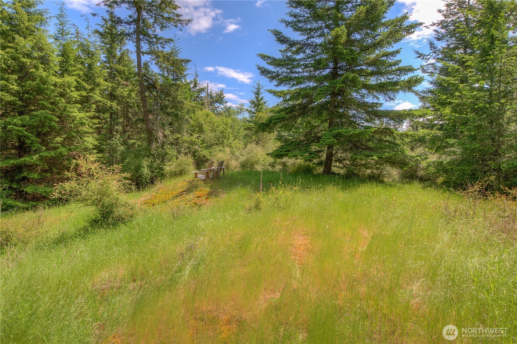 155 Dragonfly Drive , Orcas Island, WA 98279