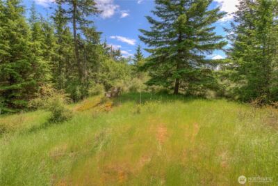 155 Dragonfly Drive , Orcas Island, WA 98279