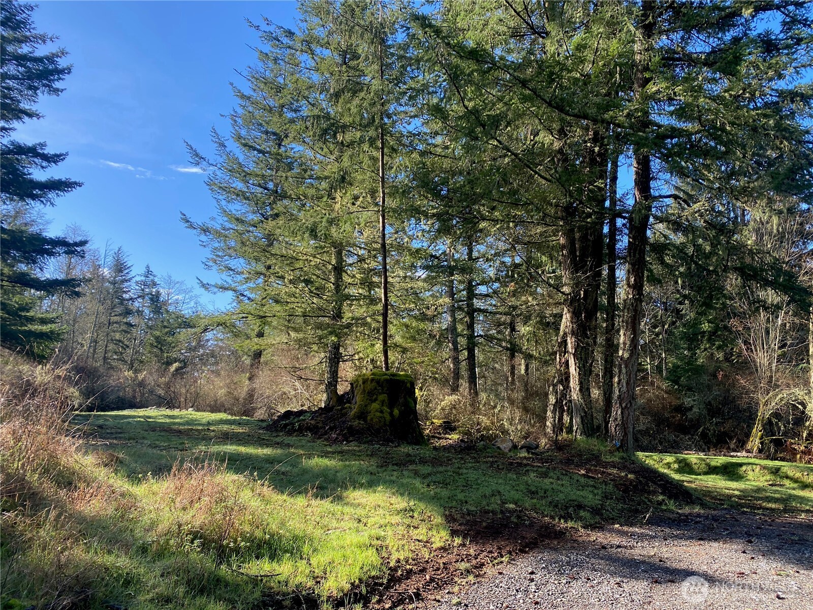 155 Dragonfly Drive , Orcas Island, WA 98279