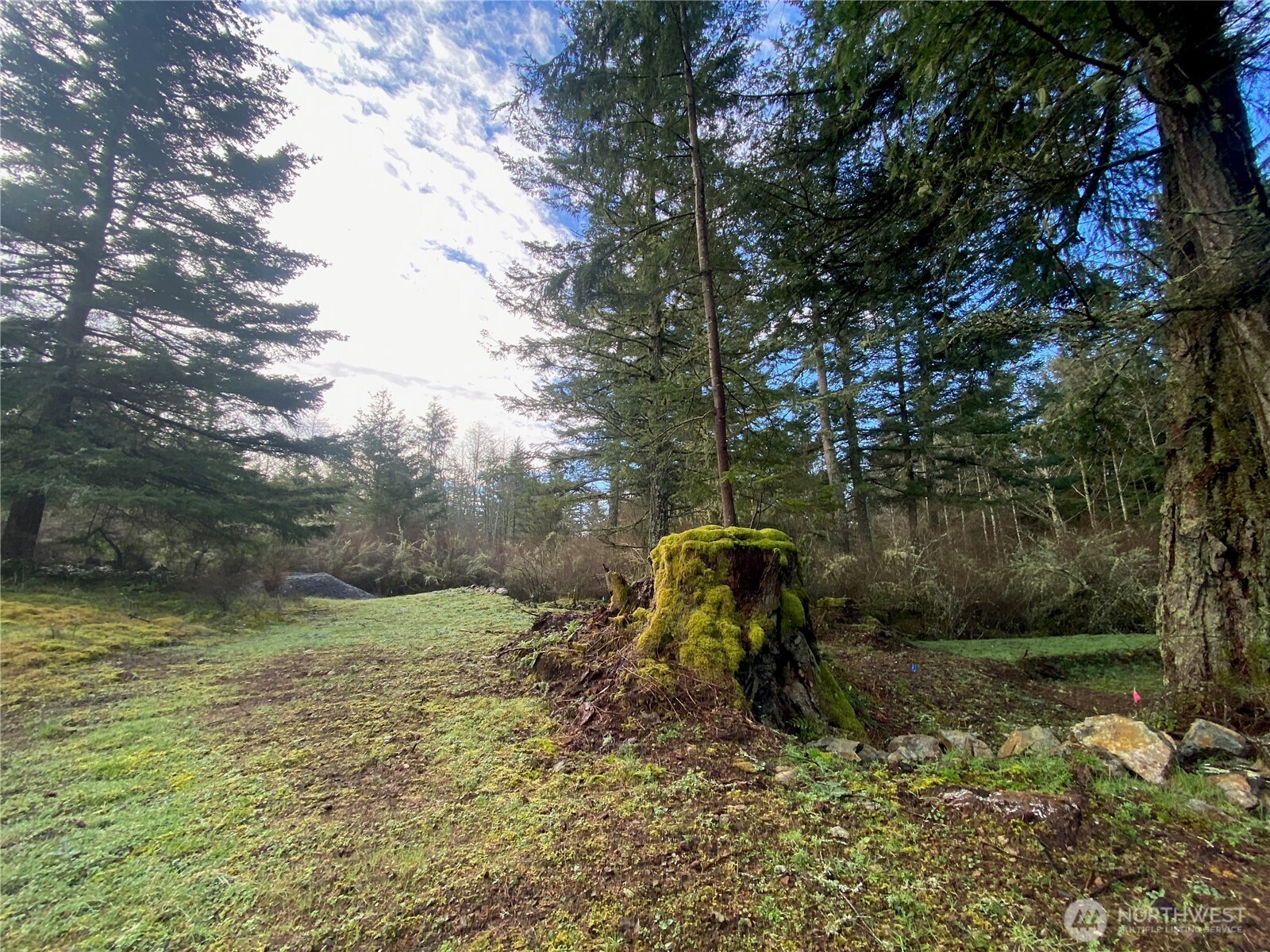 155 Dragonfly Drive , Orcas Island, WA 98279