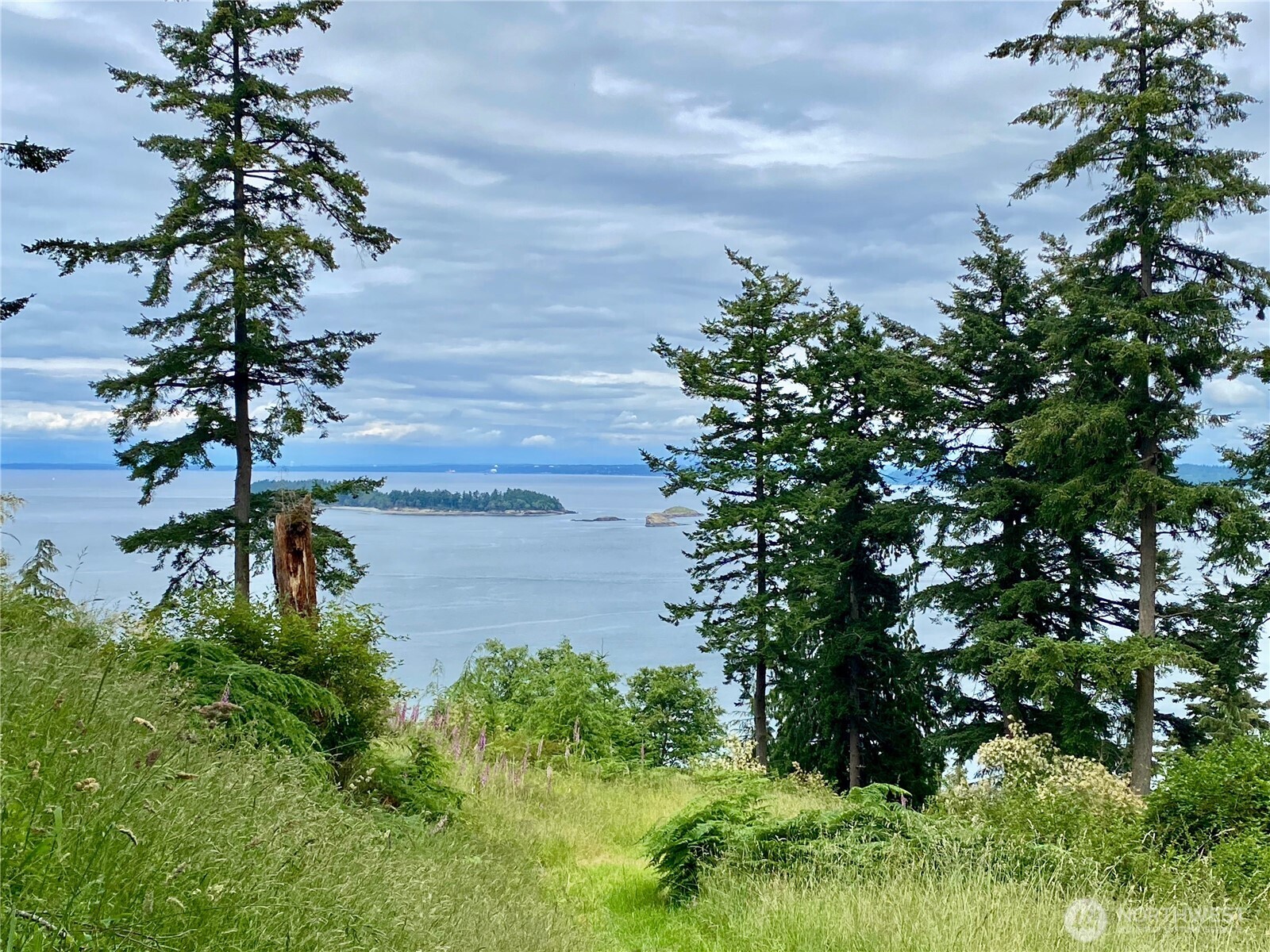 155 Dragonfly Drive , Orcas Island, WA 98279