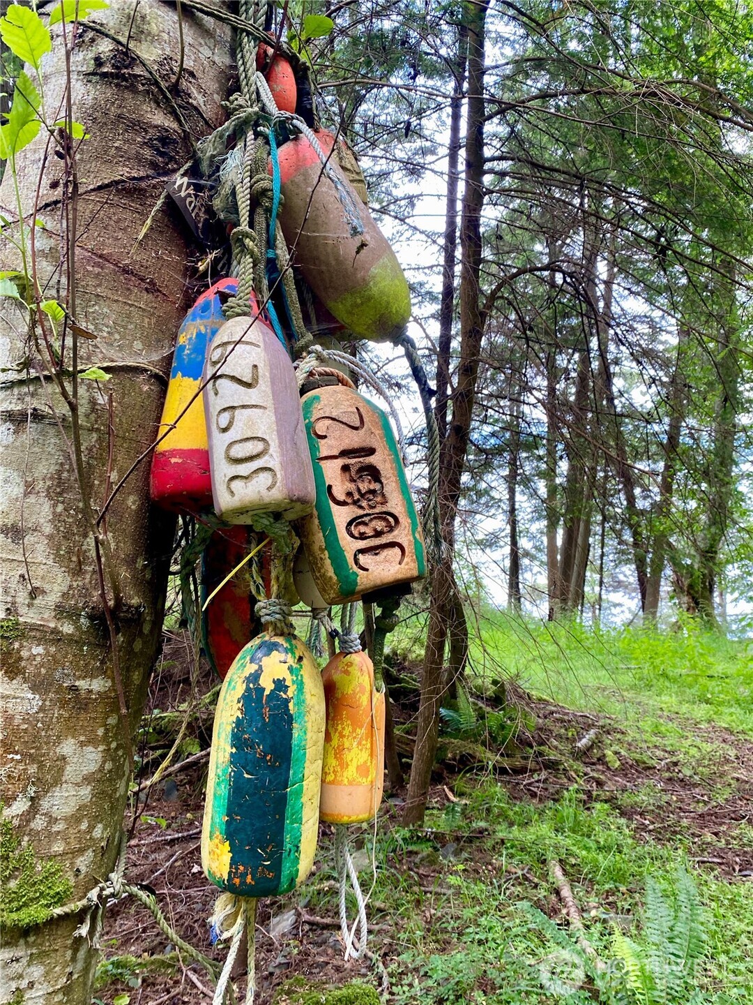 155 Dragonfly Drive , Orcas Island, WA 98279